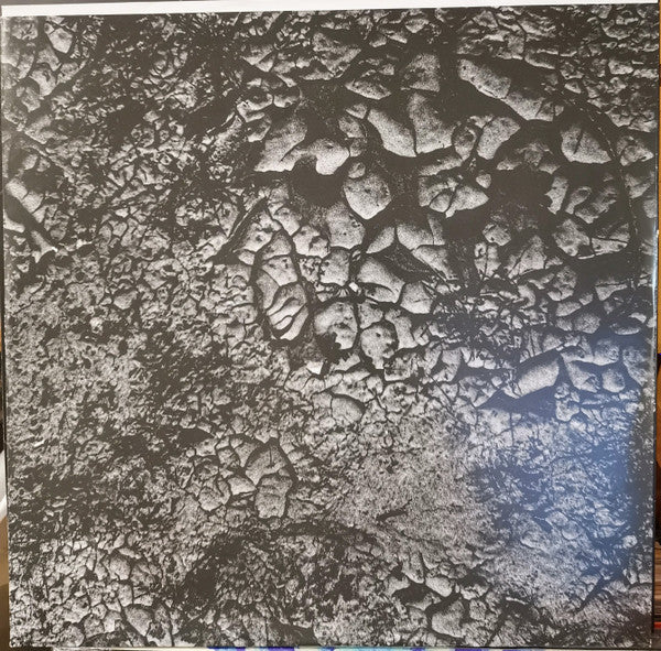 1979 (VINYL) |