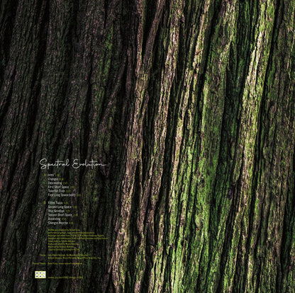 Rafael Toral - Spectral Evolution (VINYL) |