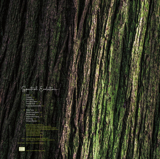 Rafael Toral - Spectral Evolution (VINYL) |