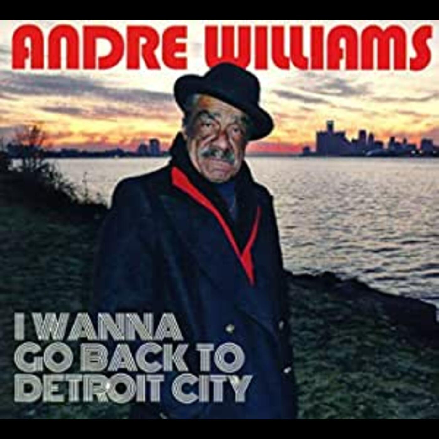 I WANNA GO BACK TO DETROIT CITY (CD) | Mint (M) Mint (M)