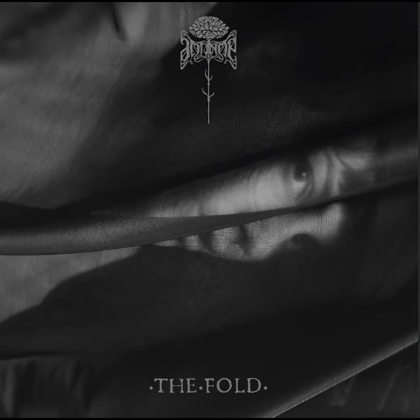 (PRE-ORDER 12/12/25) The Fold (VINYL) | Mint (M) Mint (M)