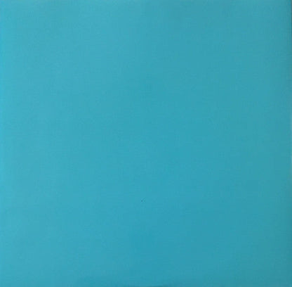 Cheetah EP | Mint (M) Mint (M)