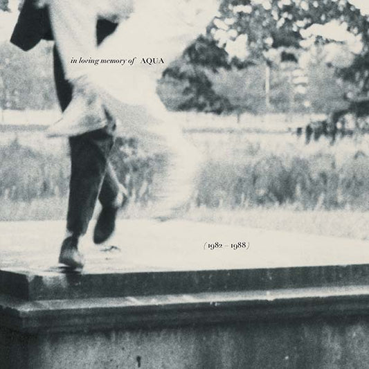 In Loving Memory of Aqua (1982-1988) |