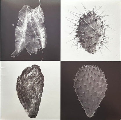 Americana | Mint (M) Mint (M)