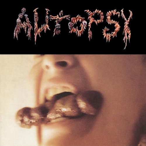 Shitfun [30Th Anniversary Brown Marble Vinyl] |