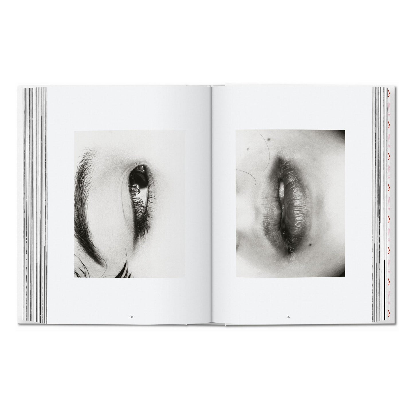 Araki. 45th Ed. (German, French, English)