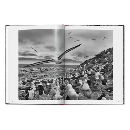 Sebastião Salgado. Genesis (English)