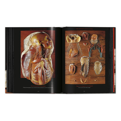 Anatomical Waxes. 45th Ed. (German, French, English)