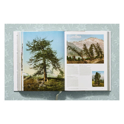 The Alps 1900. A Portrait in Color (German, French, English)