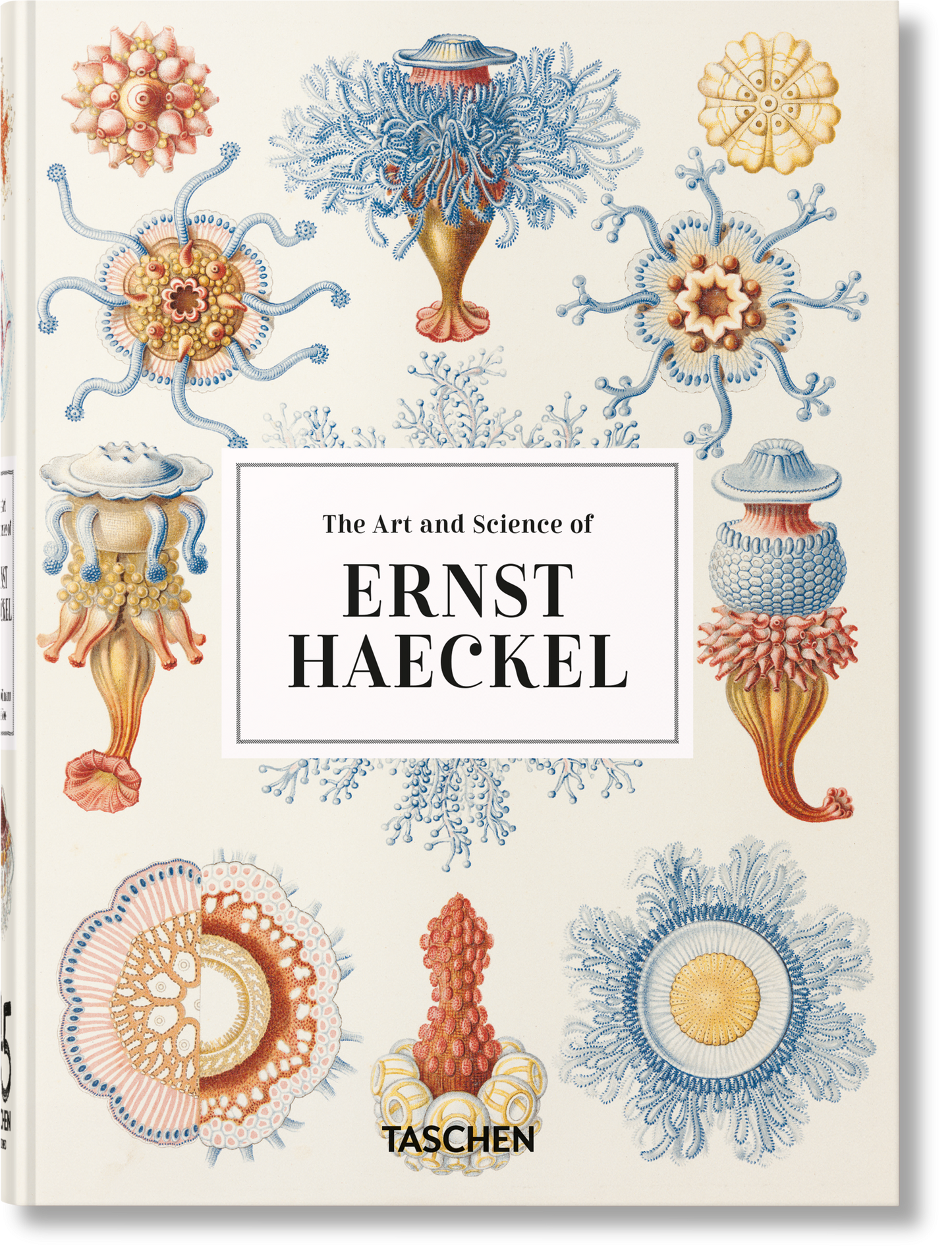The Art and Science of Ernst Haeckel. 45th Ed. (English)