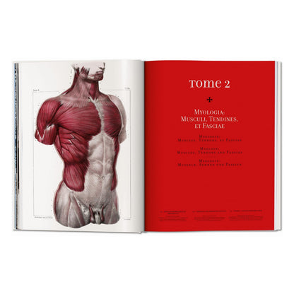 Bourgery. Atlas of Human Anatomy and Surgery (German, French, English)