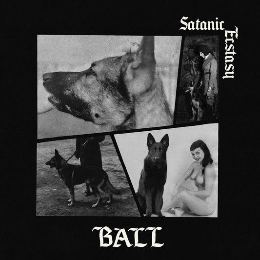 Satanic Ecstasy (Deluxe Edition, Satanic Sex Splatter Vinyl) |