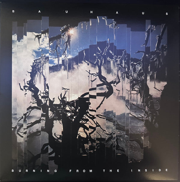 Burning From The Inside | Mint (M) Mint (M)