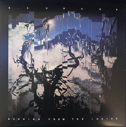 Burning From The Inside | Mint (M) Mint (M)