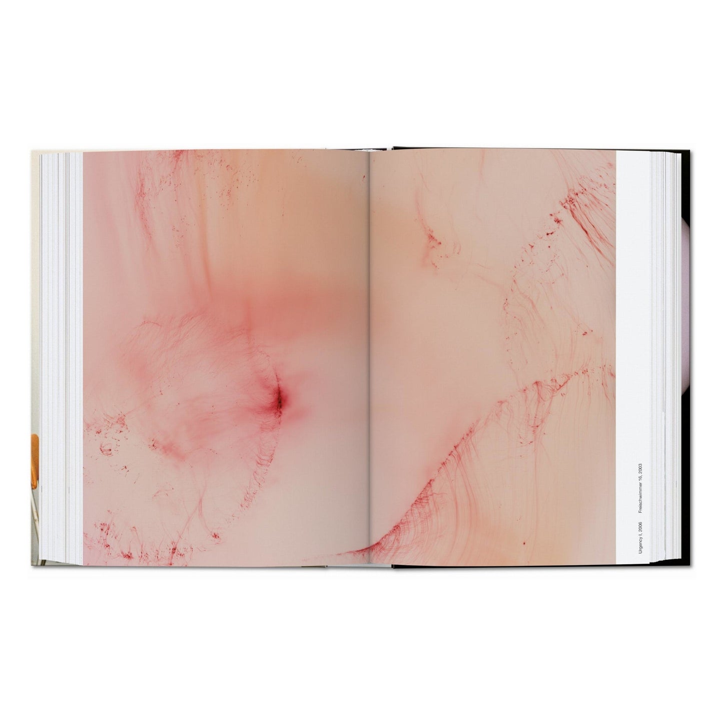 Wolfgang Tillmans. four books. 45th Ed. (English)