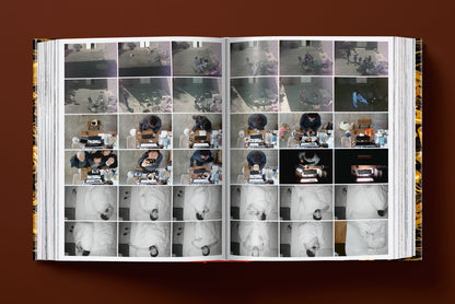 Ai Weiwei. Updated Edition (German, French, English)