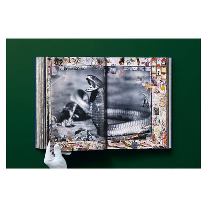 Peter Beard (German, French, English)