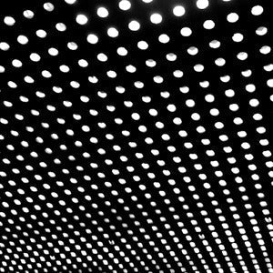 Bloom (Black Colored Cassette) | Mint (M) Mint (M)