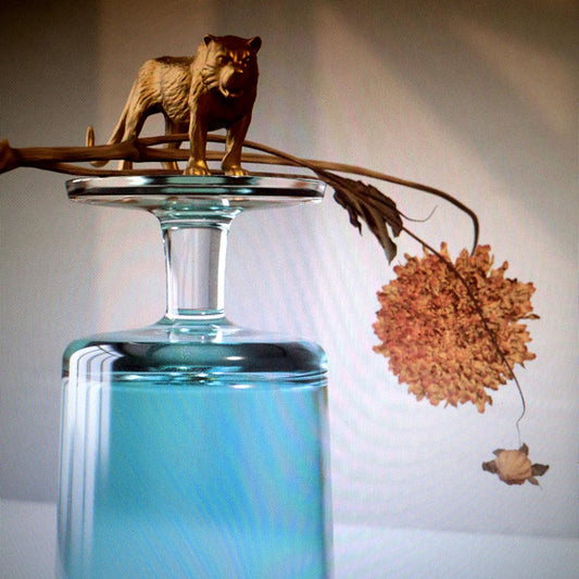 Gallipoli (VINYL) | Mint (M) Mint (M)