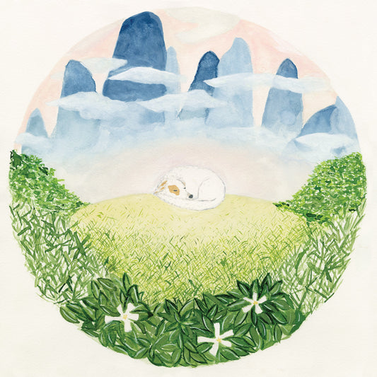 Songs For Sleeping Dogs |