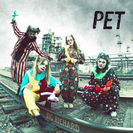 Pet (VINYL) | Mint (M) Mint (M)