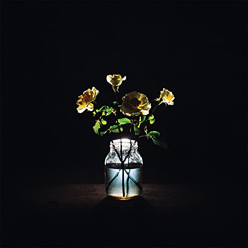 Billy Strings - Renewal (180 Gram Vinyl) (2x VINYL) | Mint (M) Mint (M)
