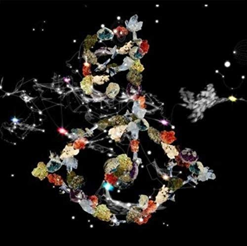 Biophilia (2xVINYL) | Mint (M) Mint (M)