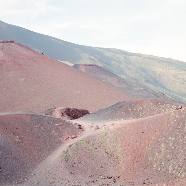 Peter, Barbara, Beth & Friends |