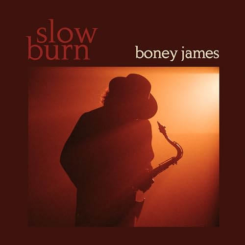 Slow Burn [LP] |