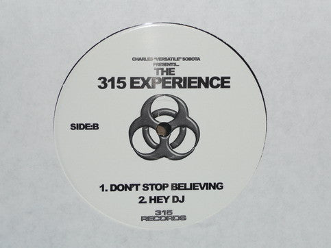 DJ Versatile (2) - The 315 Experience (12" VINYL) | Very Good Plus (VG+) Generic
