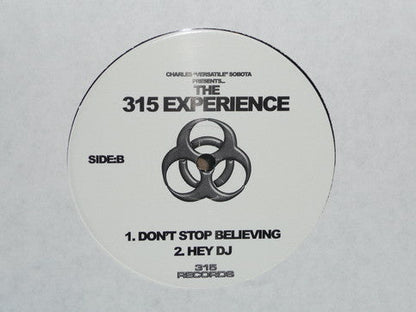 DJ Versatile (2) - The 315 Experience (12" VINYL) | Very Good Plus (VG+) Generic