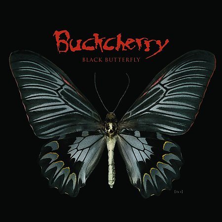 Black Butterfly |
