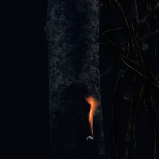 Jump Ship, Sit Lean, Be Still, Stand Tall |