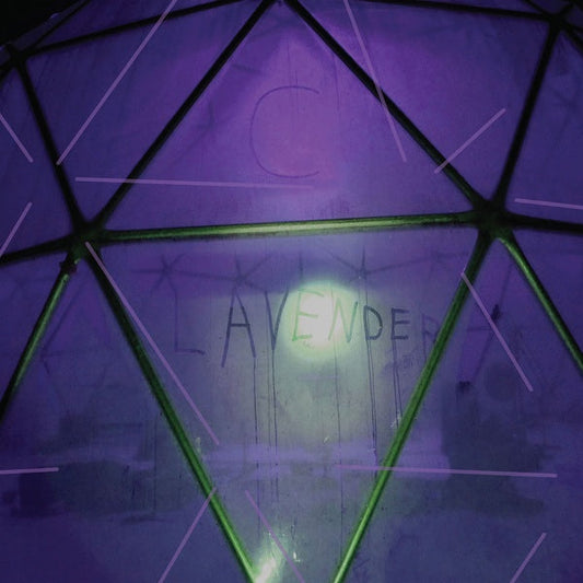 Myth Of Equilibrium |