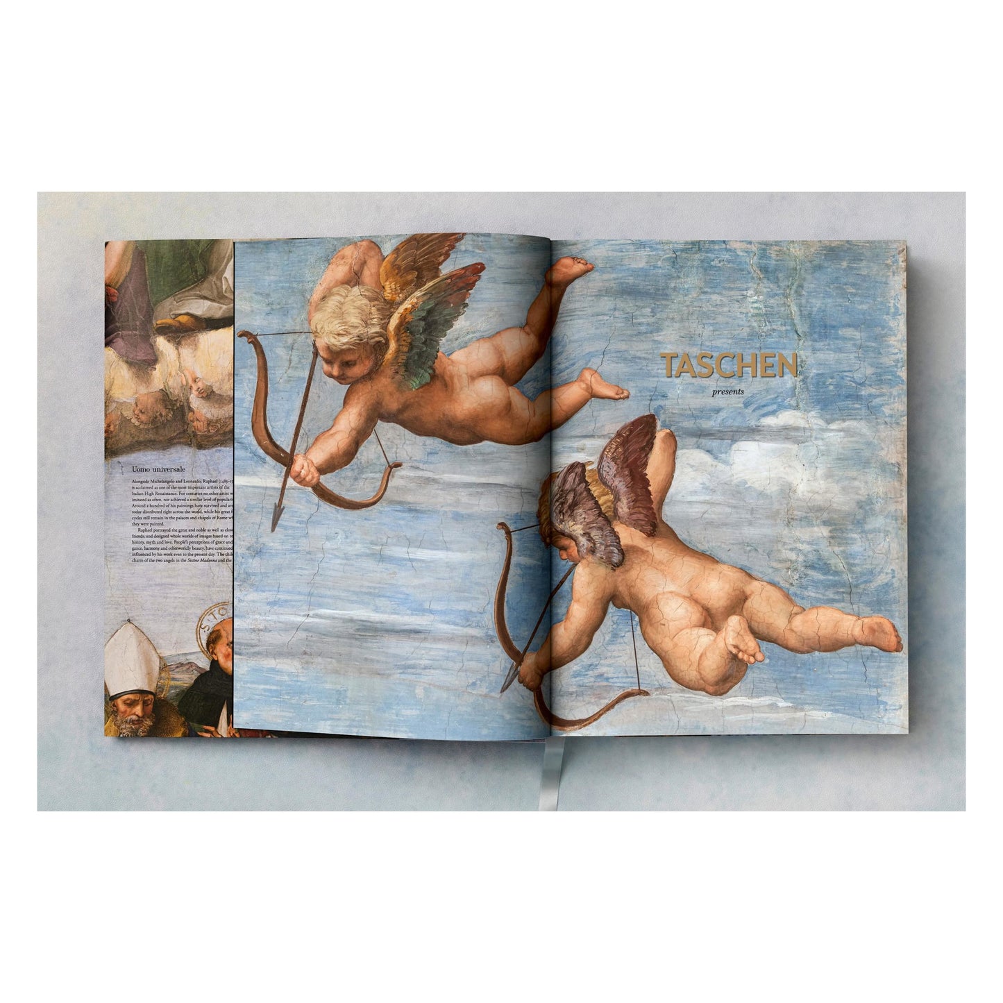 Raphael. The Complete Works. Paintings, Frescoes, Tapestries, Architecture (English)