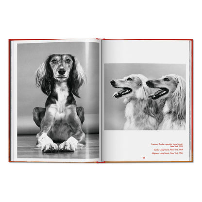 Walter Chandoha. Dogs. Photographs 1941–1991 (English)