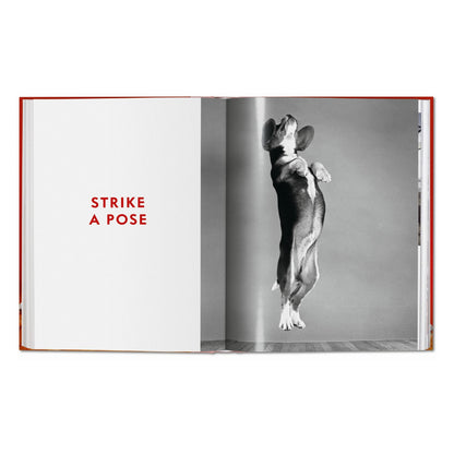 Walter Chandoha. Dogs. Photographs 1941–1991 (German, French, English)