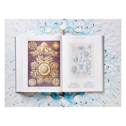 The Art and Science of Ernst Haeckel (German, French, English)