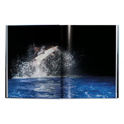 Michael Muller. Sharks (English)