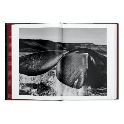 Sebastião Salgado. Genesis (English)