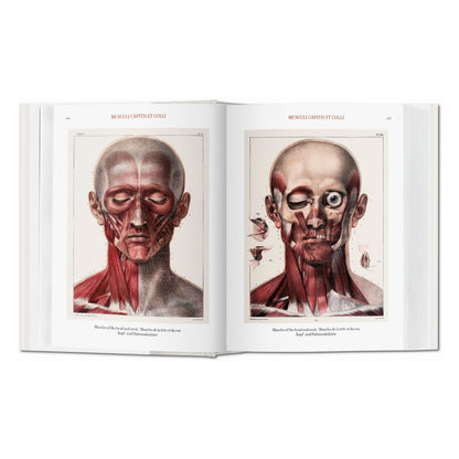 Bourgery. Atlas of Human Anatomy and Surgery (German, French, English)