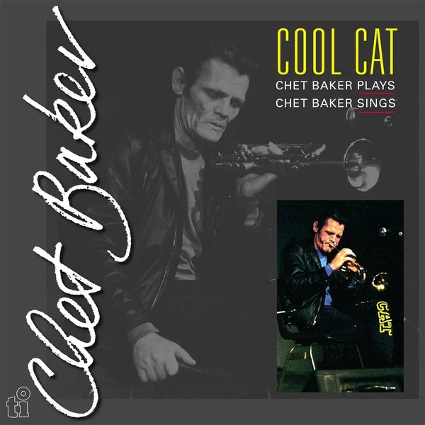 Cool Cat |