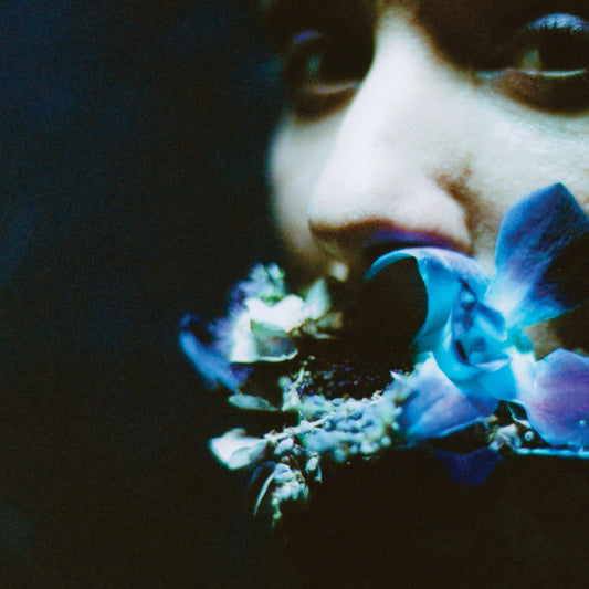 REACHING FOR INDIGO |