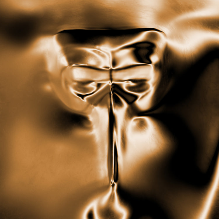 Claptone - Wanderer (Indie Exclusive) [Black & Gold Nebula Vinyl] |