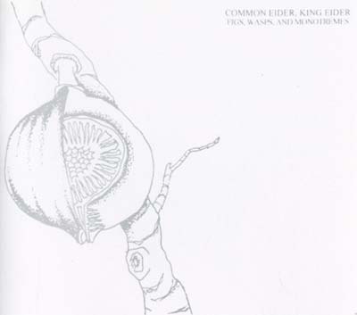 Figs, Wasps, And Monotremes |