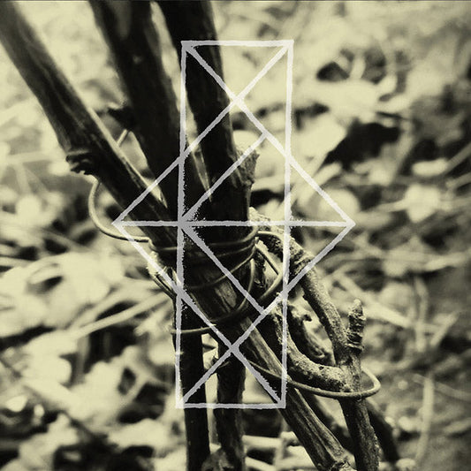 Shrines For The Unwanted, Respite For The Cast Aside |