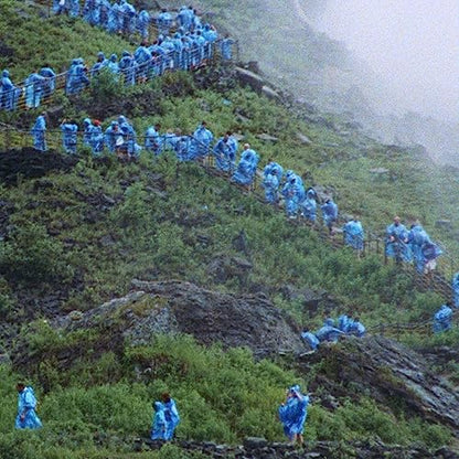 End Of The Day (Music From The Film Anonymous Club) | Mint (M) Mint (M)