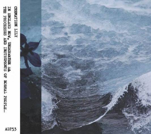 In England Now, Underwater & The Processes And Intruments of Normarl People |