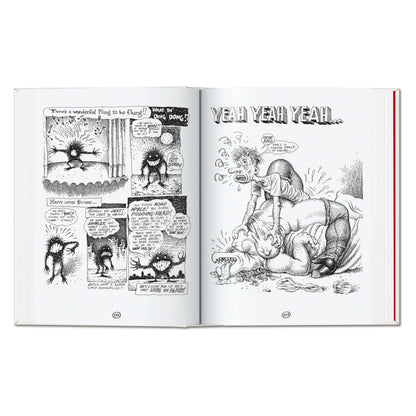 Robert Crumb. Sketchbook Vol. 4. 1982–1989 (English)