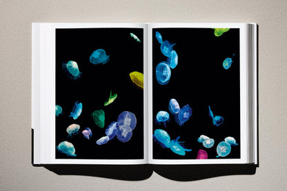 Albert Watson. Kaos (German, French, English)